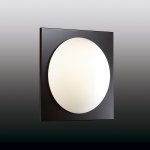 Светильник настенно-потолочный Odeon light 2763/1C BRIDO