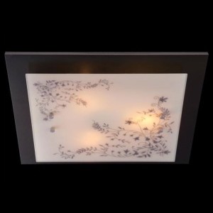 Светильник Eurosvet 2765/3 темный