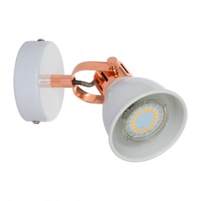 Спот Spot Light Anita 2766102