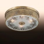 Люстра потолочная Odeon light 2782/4C ASTER