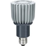 Лампа LED Paulmann 28093