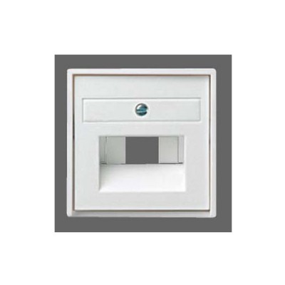 Gira S-55 Алюминий Накладка розетки 1-ой и 2-ой наклон ТЛФ/комп розетки, с полем д/надписи (G28426)