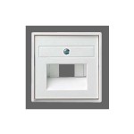 Gira S-55 Алюминий Накладка розетки 1-ой и 2-ой наклон ТЛФ/комп розетки, с полем д/надписи (G28426)