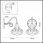Настенный светильник бра с выключателем Odeon light 2845/1W BAHAR