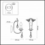 Светильник настенный бра Odeon light 2895/1W FERA