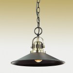 Подвесной светильник Odeon light 2898/1A LATURA