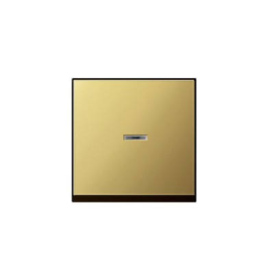 Gira S-55 Латунь Клавиша 1-ая с подсветкой (G290604)