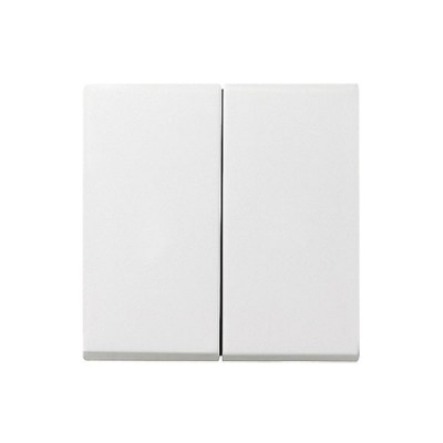 Gira S-55 Бел Клавиша 2-ая (G29527)