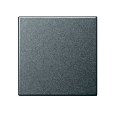 Gira S-55 Антрацит Клавиша 1-ая (G29628)