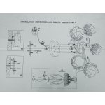 Люстра потолочная Lumion 3002/5C FLORANA