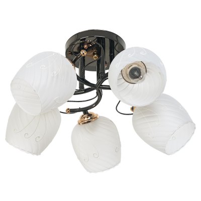 Светильник ЭкономСвет 30500/5SM BK