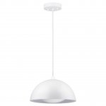 Подвесной светодиодный светильник Spot Light Ray 3050102