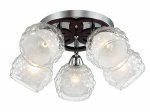 Люстра потолочная Lumion 3058/5C FEDERRO