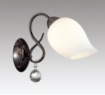 Светильник настенный бра Lumion 3076/1W RONDINA