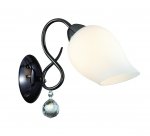 Светильник настенный бра Lumion 3076/1W RONDINA