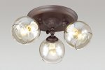 Люстра потолочная Lumion 3100/3CA CLODINA
