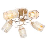 Светильник ЭкономСвет 3101T/5FGD CL+WT