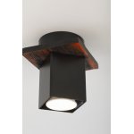 Светильник потолочный Rivoli Luise 3102-201 1 * GU10 50 Вт модерн