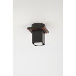 Светильник потолочный Rivoli Luise 3102-201 1 * GU10 50 Вт модерн