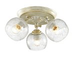 Люстра потолочная Lumion 3116/3CA CLODINA