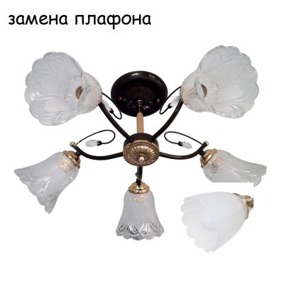 Экономсвет 31687N/5CF+GD WT