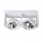 Светильник поворотный спот Lucide 31988/20/31 ZETT