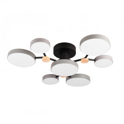 

Потолочный светильник LED4U L3040-500 GR, 3040-500L GR