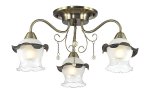 Люстра потолочная Lumion 3239/3C ZIDONI