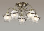Люстра потолочная Lumion 3239/5C ZIDONI