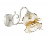 Настенный светильник бра Lumion 3250/1W BARBISSA