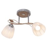 Светильник ЭкономСвет 3254/2SN WT