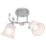 Потолочный светильник Экономсвет 3262/2CR WT