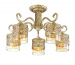 Люстра потолочная Lumion 3286/5C ZARLINA