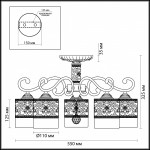 Люстра потолочная Lumion 3286/5C ZARLINA