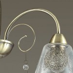 Люстра потолочная Lumion 3289/3C HORTENSA