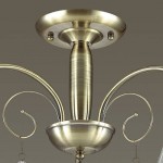 Люстра потолочная Lumion 3289/3C HORTENSA