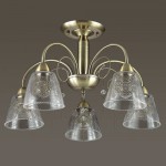 Люстра потолочная Lumion 3289/5C HORTENSA