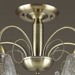 Люстра потолочная Lumion 3289/5C HORTENSA