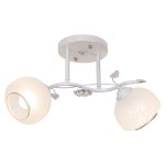 Потолочный светильник Экономсвет 3307/2SL WT+SL