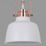 Подвесной светильник Odeon light 3324/1 SERT