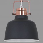 Подвесной светильник Odeon light 3325/1 SERT