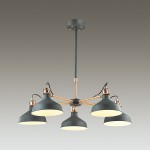 Люстра Odeon light 3329/5 LURDI