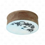 Светильник настенно-потолочный Mw light 339015805 Восток