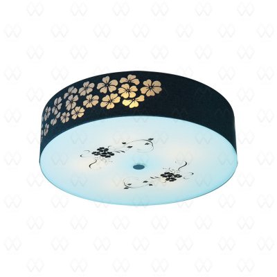 Светильник настенно-потолочный Mw light 339015905 Восток