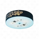 Светильник настенно-потолочный Mw light 339015905 Восток