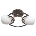 Потолочный светильник 33916/2FGD BKD WT ЭкономСвет