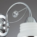 Светильник настенный бра Lumion 3406/1W SISERRA