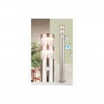 Светильник уличный Globo 34202S CELIO