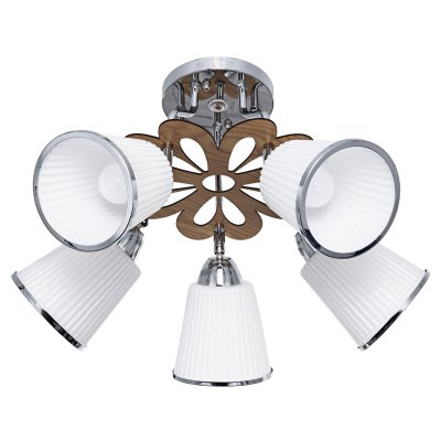 Потолочный светильник Экономсвет 342LM/5CR WT