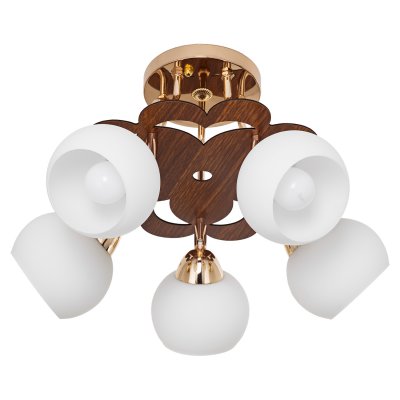 Светильник ЭкономСвет 343LM/5BR+FGD WT